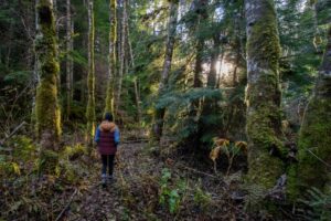 walking outdoors - self care practices