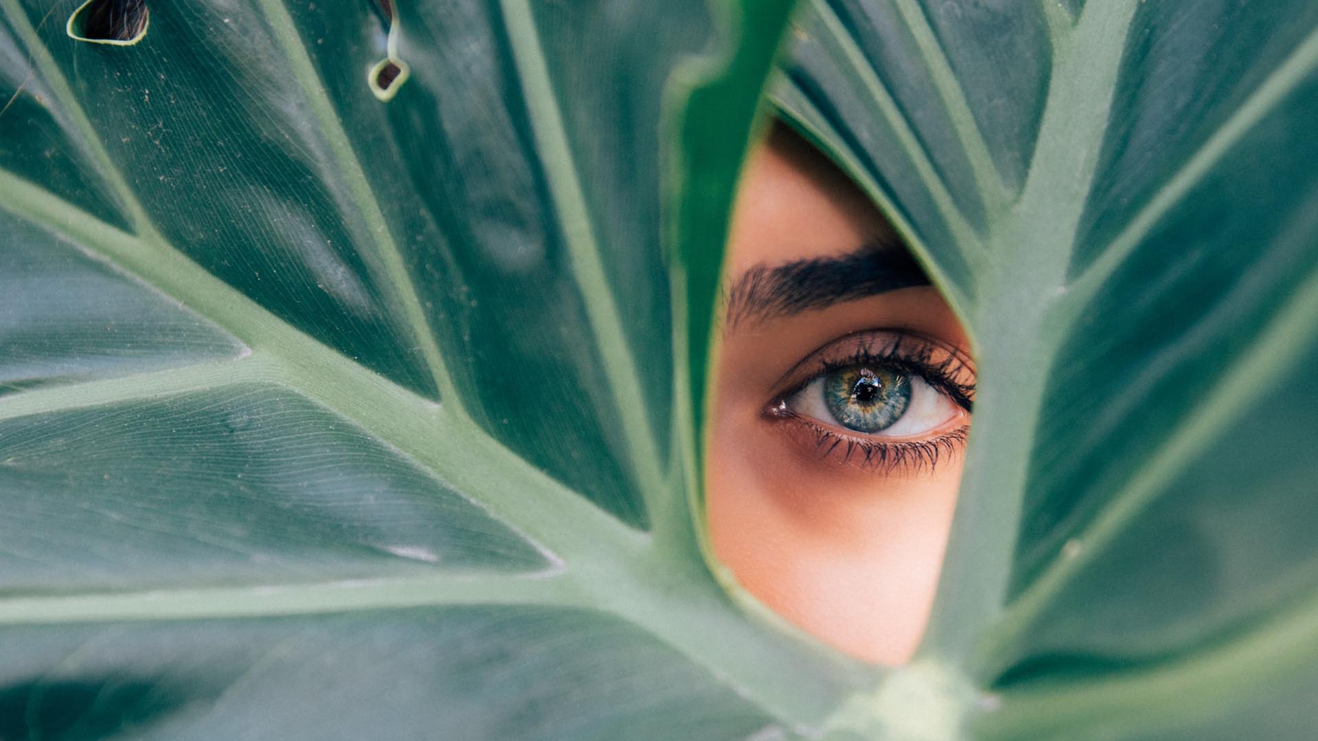 beauty product labels overview, what's hiding