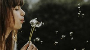 wishing on a dandelion | beauty benefits of taking collagen